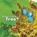 Cover: What's in a Tree? - Capstone Press
