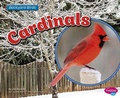 Cover: Cardinals - Capstone Press