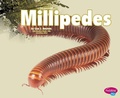 Cover: Millipedes - Capstone Press
