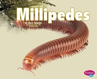 Enlarge image Cover: Millipedes - Capstone Press