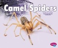 Cover: Camel Spiders - Capstone Press
