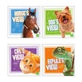 Cover: Pet Perspectives - Capstone Press