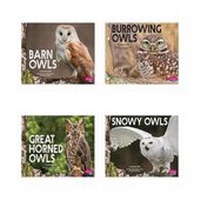Enlarge image Cover: Owls - Capstone Press