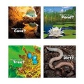 Cover: What's in There? - Capstone Press