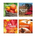 Cover: Celebrate Fall - Capstone Press