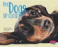 Enlarge image Cover: Pet Dogs Up Close - Capstone Press