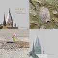Cover: Soest - Lyrische Spazierg&auml;nge - Anaelis-Sophia-Verlag