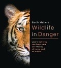 Cover: Wildlife in Danger - BookLife Publishing
