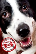 Cover: Boy's Best Friend - Farrar, Straus and Giroux (BYR)