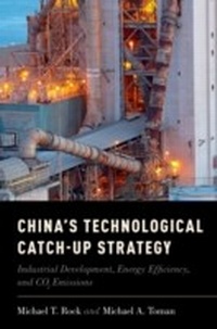 Enlarge image Cover: China's Technological Catch-Up Strategy - OUP eBook