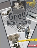 Cover: Gray Everywhere - Lerner Publications Co ,U.S.