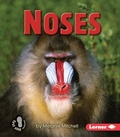 Cover: Noses - LernerClassroom