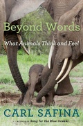 Cover: Beyond Words - Henry Holt and Co.