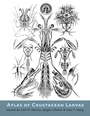 Cover: Atlas of Crustacean Larvae - Johns Hopkins University Press