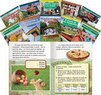 Abbildung von: Mathematics Grade 2 10-Book Spanish Set - Teacher Created Materials