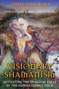 Cover: Visionary Shamanism - Bear & Company