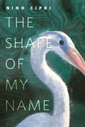 Cover: The Shape of My Name - Tor Books