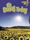 Cover: It's Sunny Today - Lerner Publications Co ,U.S.