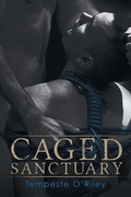 Cover: Caged Sanctuary - Dreamspinner Press