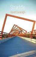 Cover: Straddle - Salmon Poetry