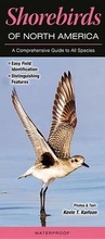 Cover: Shorebirds of North America - Quick Reference Publishing, Inc