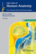 Bild: Color Atlas of Human Anatomy, Vol. 3 - Thieme