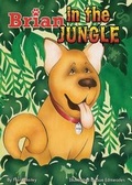 Cover: Brian - In the Jungle - Austin Macauley Publishers