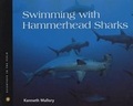 Cover: Swimming with Hammerhead Sharks - Turtleback Books