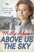 Cover: Above Us The Sky - Arrow Books Ltd