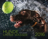 Abbildung von: Hunde unter Wasser 2016 - Riva
