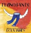 Cover: Flying Pants - Sunbury Press, Inc.