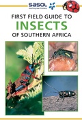 Cover: Sasol First Field Guide to Insects of Southern Africa - Struik Nature