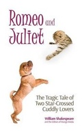 Cover: Romeo and Juliet - Granadilla Press