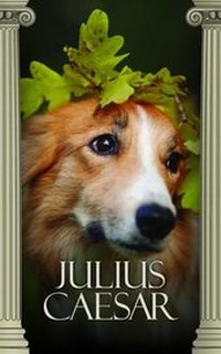 Enlarge image Cover: Julius Caesar - Granadilla Press