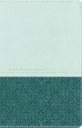 Cover: NIV Study Bible Sea Glass/Caribbean Duo-Tone Personal Size - Hodder Faith