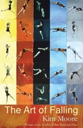 Cover: The Art of Falling - Seren