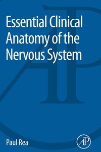 Abbildung von: Essential Clinical Anatomy of the Nervous System - Academic Press