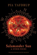 Cover: Salamander Sun and other poems - Bloodaxe Books Ltd
