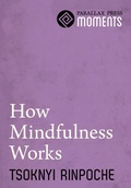 Cover: How Mindfulness Works - Parallax Press