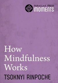 Enlarge image Cover: How Mindfulness Works - Parallax Press