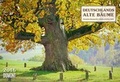 Cover: Deutschlands alte B&auml;ume 2016 - DuMont Kalenderverlag