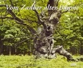 Cover: Vom Zauber alter B&auml;ume 2016 - DuMont Kalenderverlag