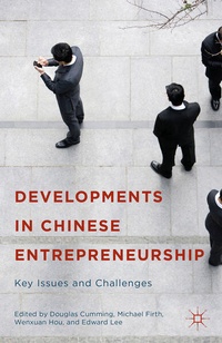 Enlarge image Cover: Developments in Chinese Entrepreneurship - Palgrave MacMillan