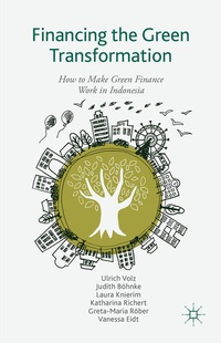 Enlarge image Cover: Financing the Green Transformation - Palgrave Macmillan