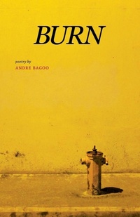 Enlarge image Cover: Burn - Shearsman Books