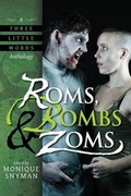 Cover: Roms, Bombs & Zoms - Evil Girlfriend Media