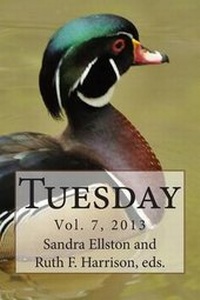 Enlarge image Cover: Tuesday 2013 - Turnstone Books of Oregon