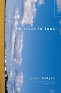 Cover: An Ocean in Iowa - Flamingo