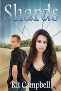 Cover: Shards - Turtleduck Press