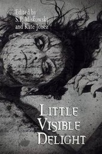 Enlarge image Cover: Little Visible Delight - OMNIUM GATHERUM MEDIA